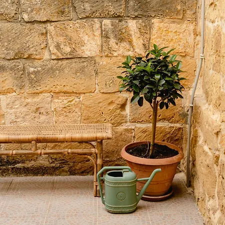 Rustic Gozo With Private Pool & Garage Villa